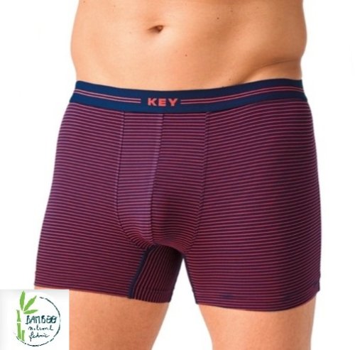 Труси чоловічі боксери
Key MXH 319 CE  A26  3XL-4XL